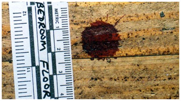 Join us for Basic Bloodstain Pattern Analysis from June 5 - 9, 2023 in Richmond, TX! Registration and other details in link below.
conta.cc/40MHlKU