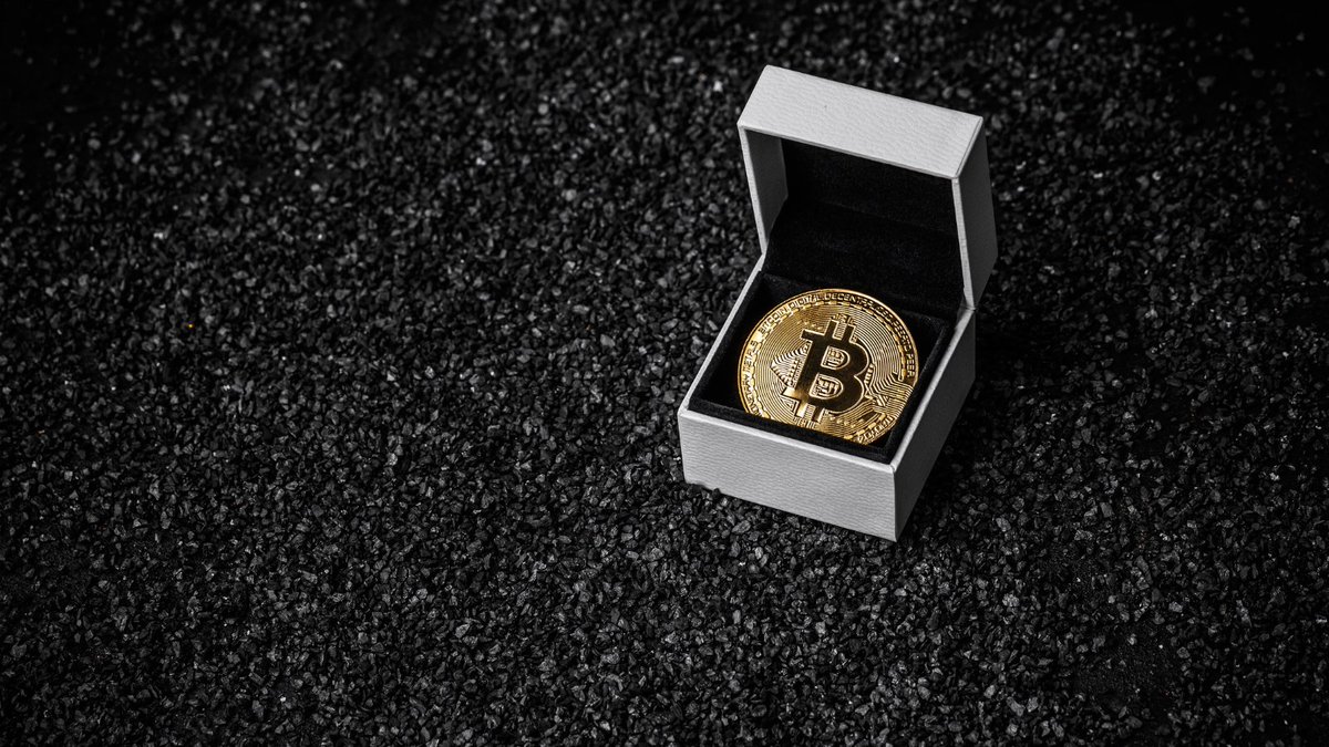 officialbumbee's tweet photo. The perfect proposal does exist 💍 😍
.
.
#Bitcoin #Bitcoin2023 #bitcoinmonetise #bitcoinplatform  #bitcoinearning #earnSATsfast #bumbee #bumbeecreators https://t.co/r18z06vQBI