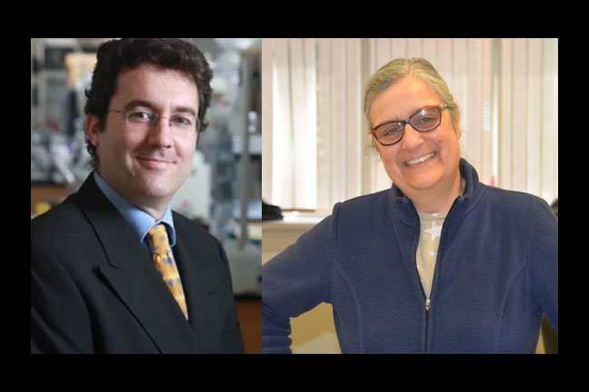 RPI and <a href="/AlbanyMed/">Albany Med Health System</a> Researchers Awarded $3.3 Million To Improve Breast Cancer Treatment Using Artificial Intelligence
<a href="/RPIEng/">RPIEngineering</a> 
news.rpi.edu/content/rensse…