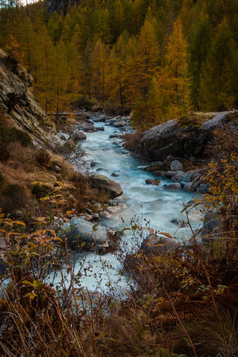 At that moment I lay down, closed my eyes, and listened to the flow of water down the creek 

.