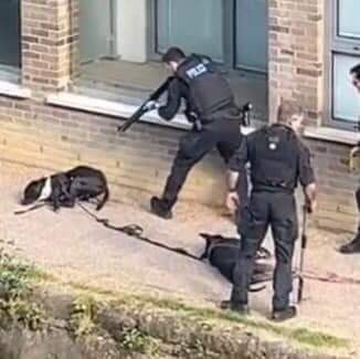 KayePunsalan1's tweet photo. Never forget!!!! We scream for #JusticeForMarshallandMillions  
Please sign the petition! 
https://t.co/t1R8JSBzTr https://t.co/tyOJlVM0b7