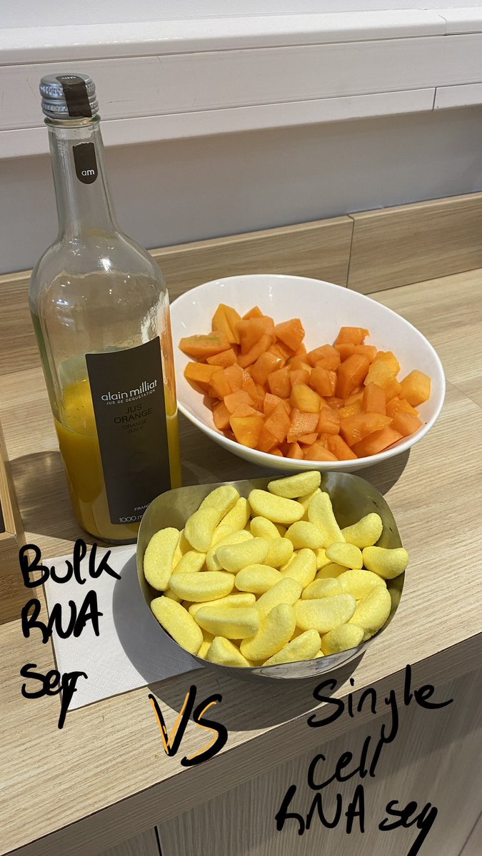 Mathis Nozais tweet media