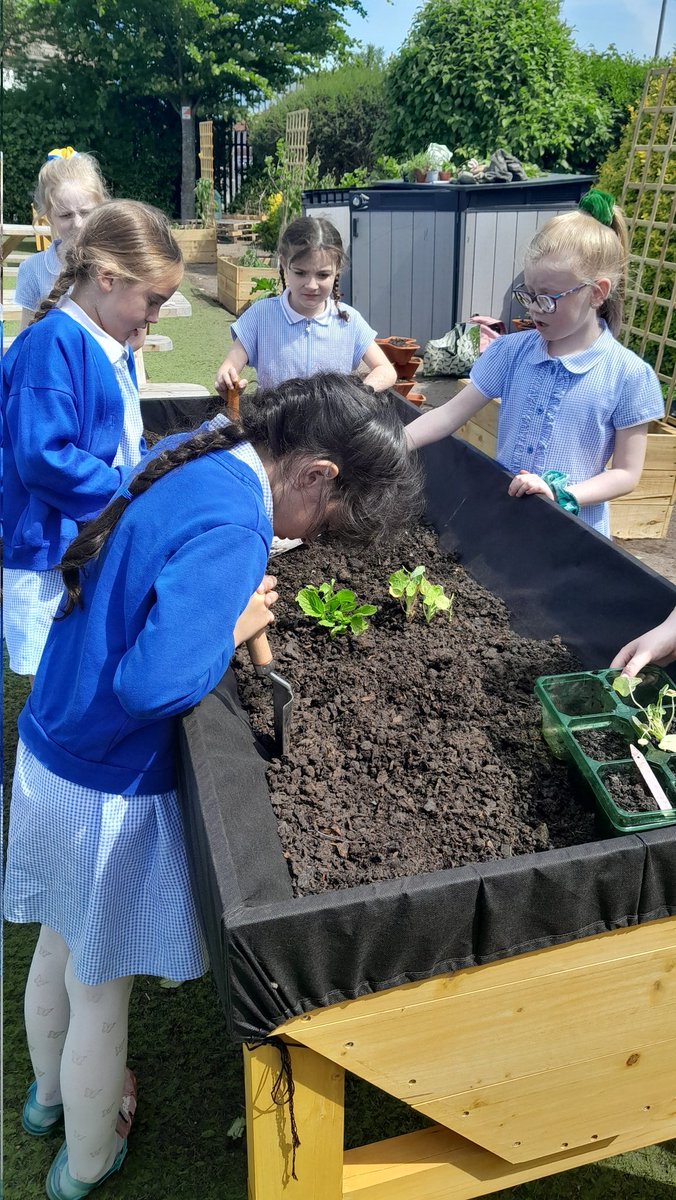 Flomellynews's tweet photo. Another fantastic sustainability lesson with Miss Jen in our outdoor classroom #flomellyyear3 #flomellyscience #flomellyculturalcapital 
Don't forget our PLANT SALE after school today 🌿 💐 🌻 🥕 https://t.co/rz2qRF9hyX