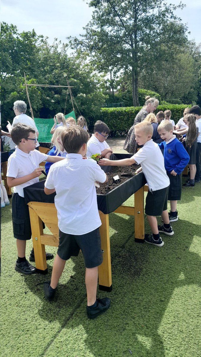 Flomellynews's tweet photo. Another fantastic sustainability lesson with Miss Jen in our outdoor classroom #flomellyyear3 #flomellyscience #flomellyculturalcapital 
Don't forget our PLANT SALE after school today 🌿 💐 🌻 🥕 https://t.co/rz2qRF9hyX