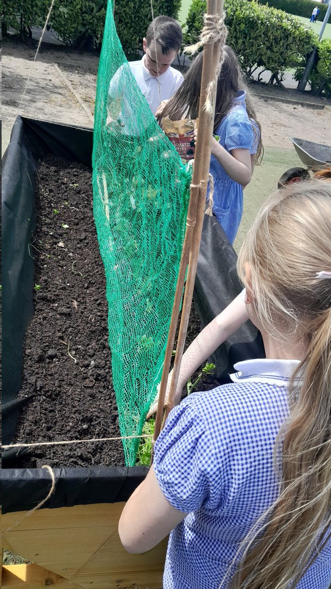 Flomellynews's tweet photo. Another fantastic sustainability lesson with Miss Jen in our outdoor classroom #flomellyyear3 #flomellyscience #flomellyculturalcapital 
Don't forget our PLANT SALE after school today 🌿 💐 🌻 🥕 https://t.co/rz2qRF9hyX