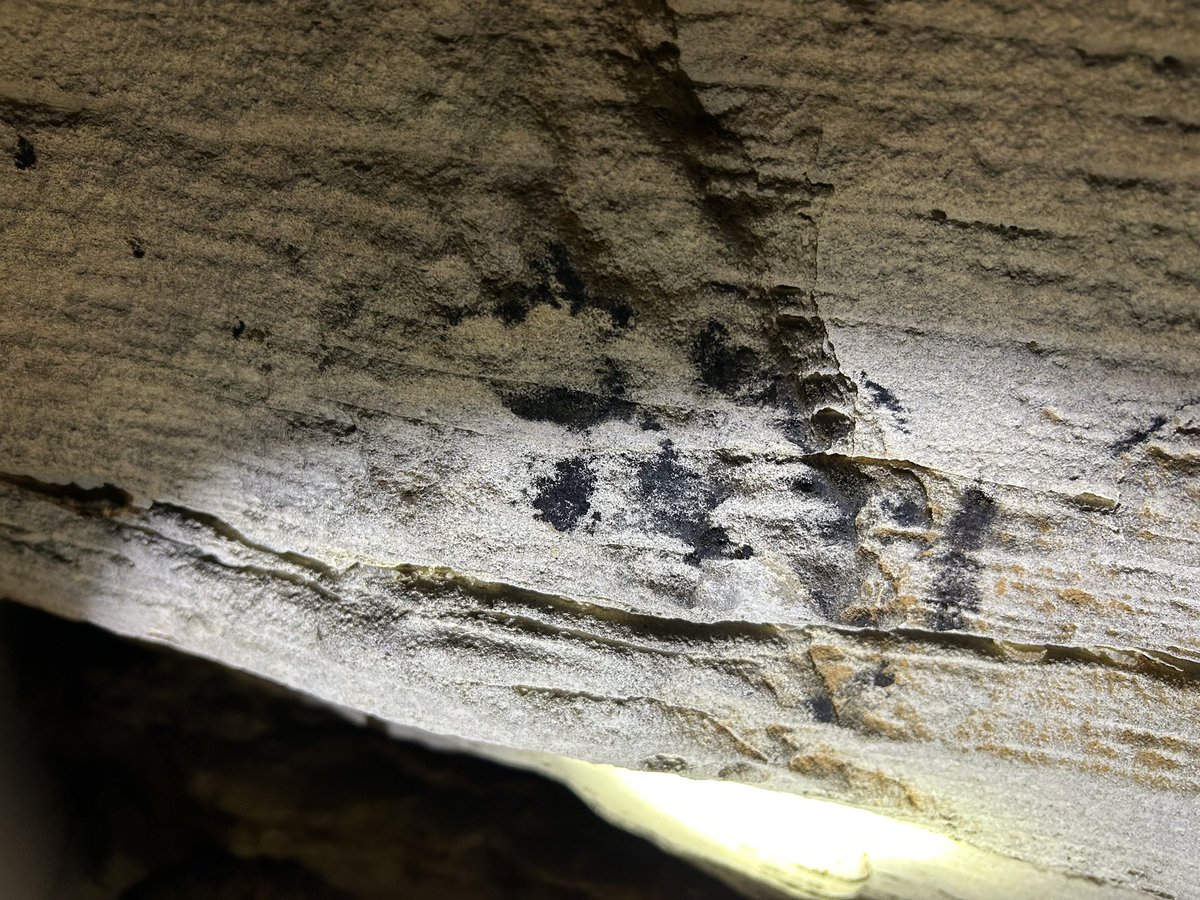 Mammoth Cave NP on Twitter "Prehistoric late archaic people used