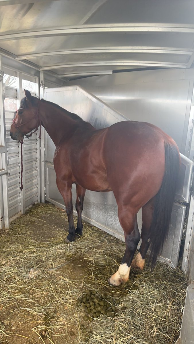 New rig and my 4 yr looking sharp this summer 👌