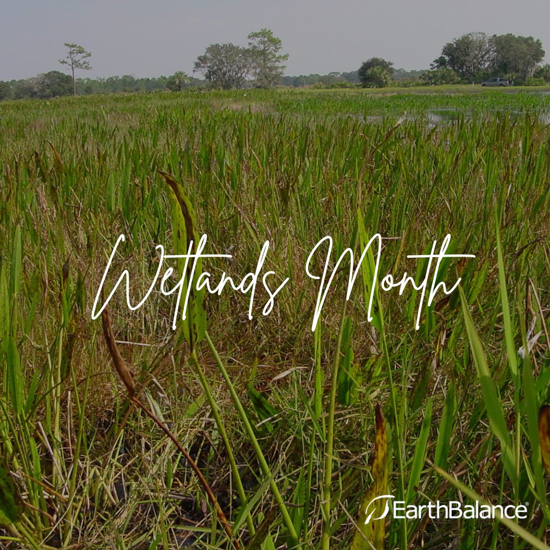 May is American Wetlands Month! Wetlands help improve our water supply and quality of habitats for fish, plants, and wildlife. Wetlands can be found in all 50 states, so check out your local parks department to visit one.