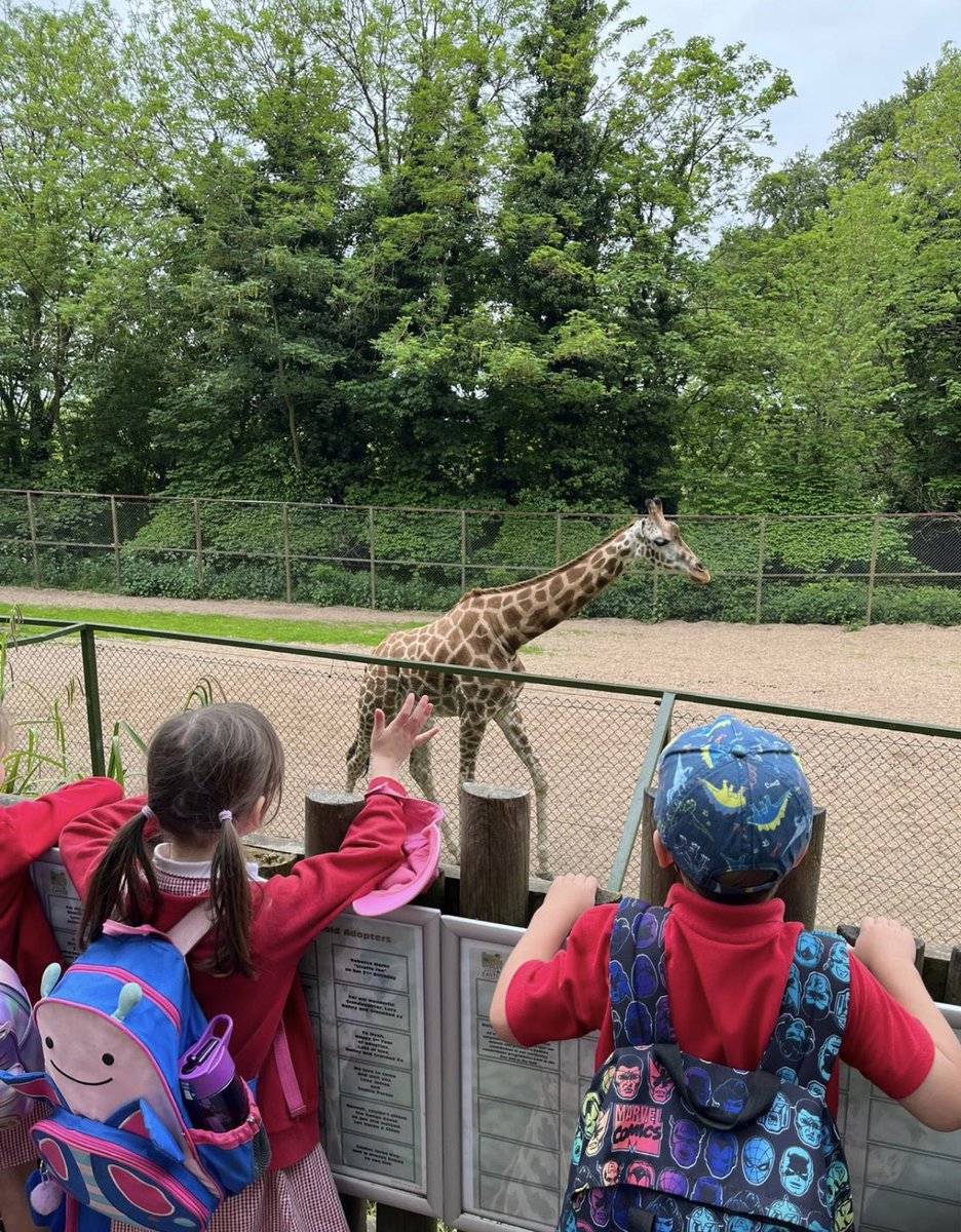Far Forest Lea Memorial CE Primary School tweet media