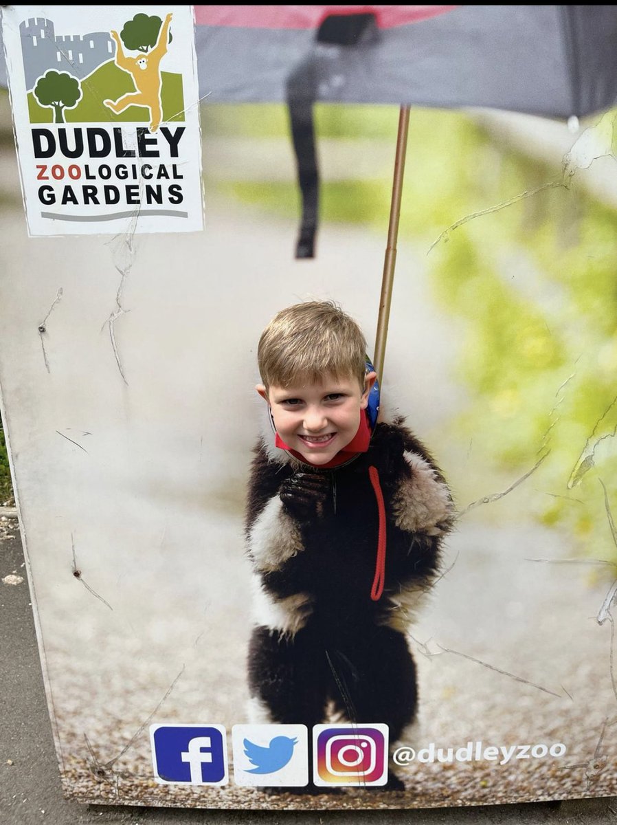 Far Forest Lea Memorial CE Primary School tweet media