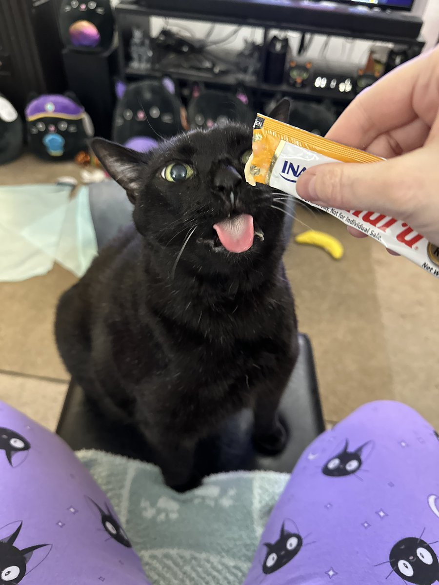 mannyblackcat's tweet photo. It’s always a purrfect #tongueouttuesday when I get an @InabaChuru treat! 😋😋😋
Meowmy says I make the funniest Churu faces! Do you agree?
#CatsOfTwitter #cats #yum #blackcat #inabachuru https://t.co/Ax0XIlX2Hn