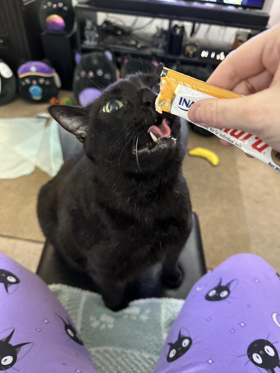 mannyblackcat's tweet photo. It’s always a purrfect #tongueouttuesday when I get an @InabaChuru treat! 😋😋😋
Meowmy says I make the funniest Churu faces! Do you agree?
#CatsOfTwitter #cats #yum #blackcat #inabachuru https://t.co/Ax0XIlX2Hn