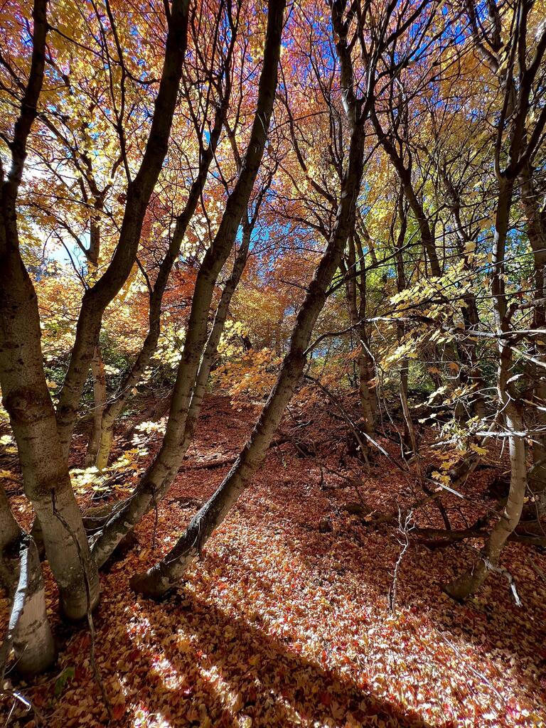 FunkDandy's tweet image. See our new products at dropappeal.com #RT #traveling #Solotravel # Views #holiday