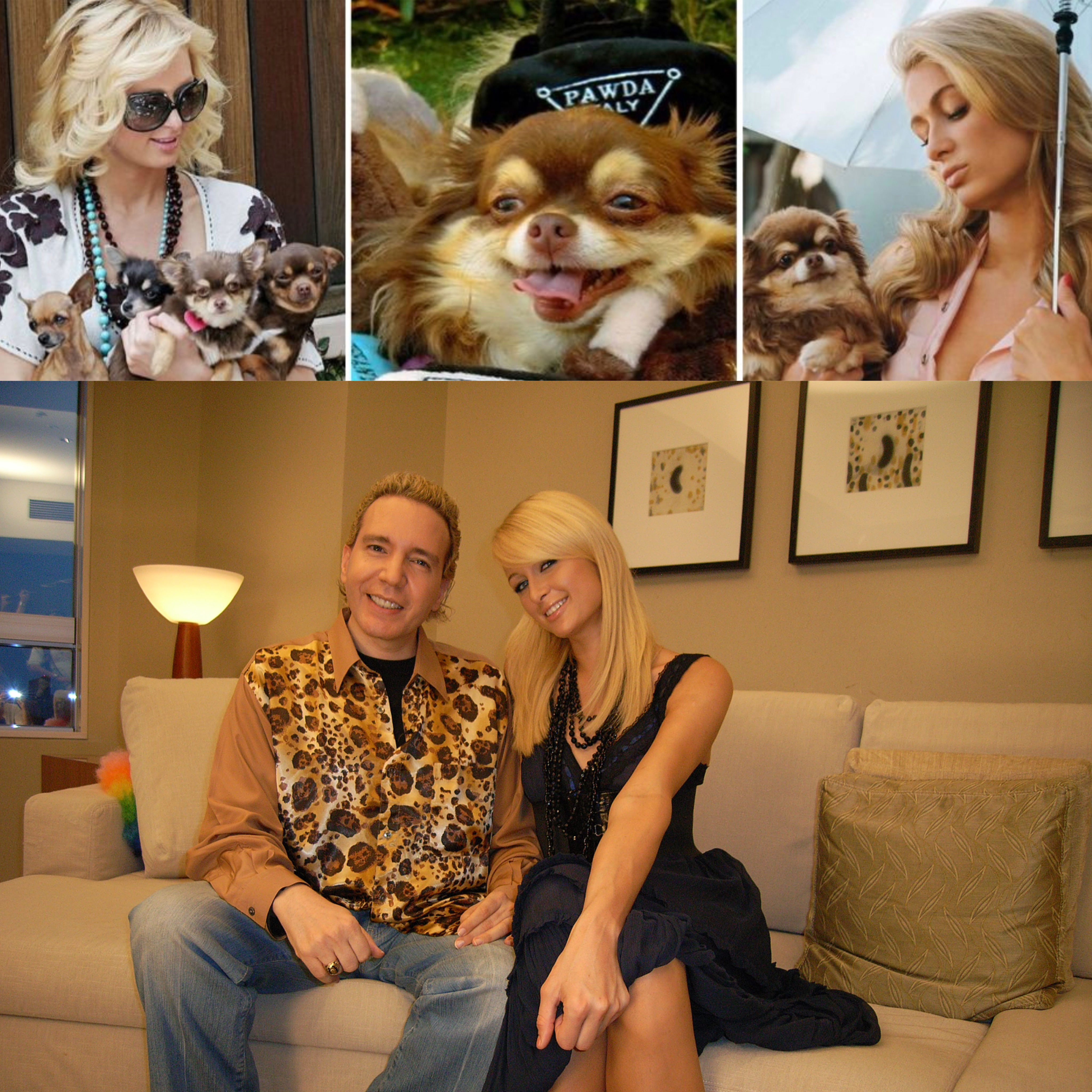 デーブ・スペクター on X: 