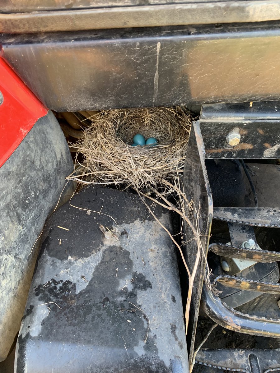 Keith Doerksen tweet media