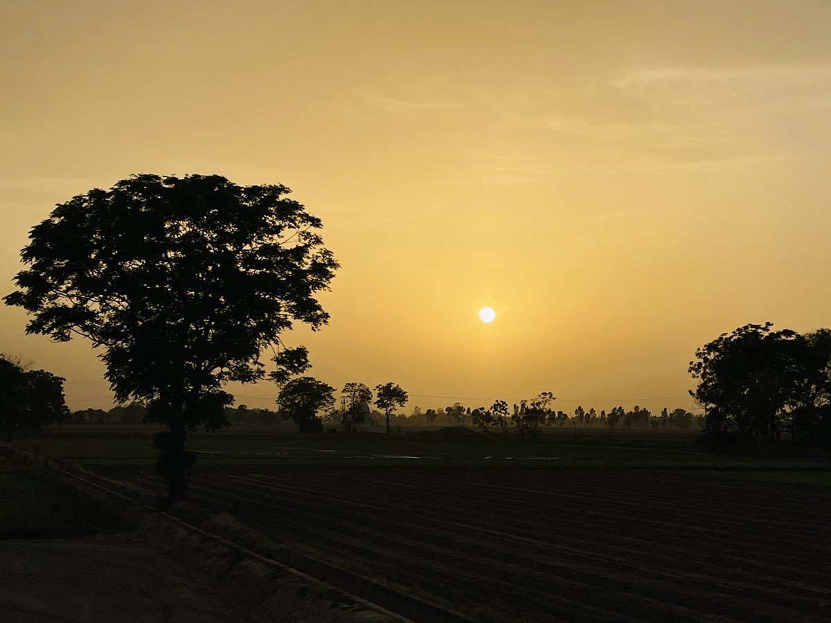 Sunset Snaps tweet media