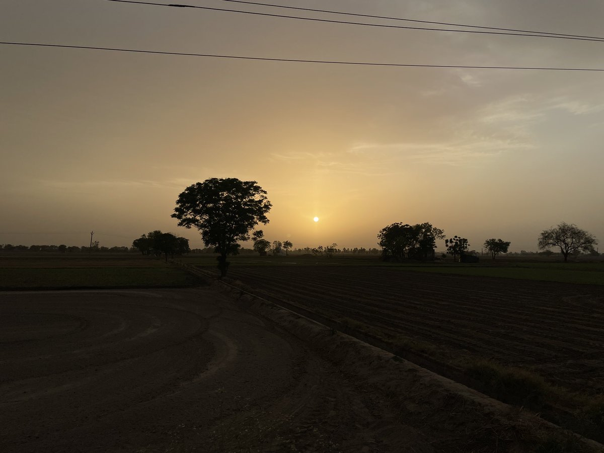 RT <a href="/iamgurpreetmaan/">Gurpreet Singh Maan</a>: Sunset #Punjab #sunsetphotography