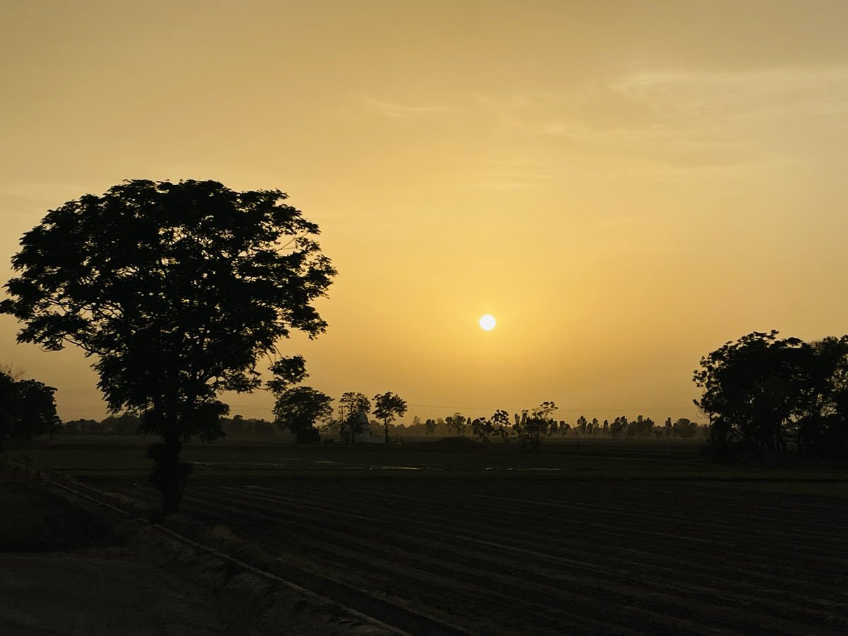 Sunset Snaps tweet media