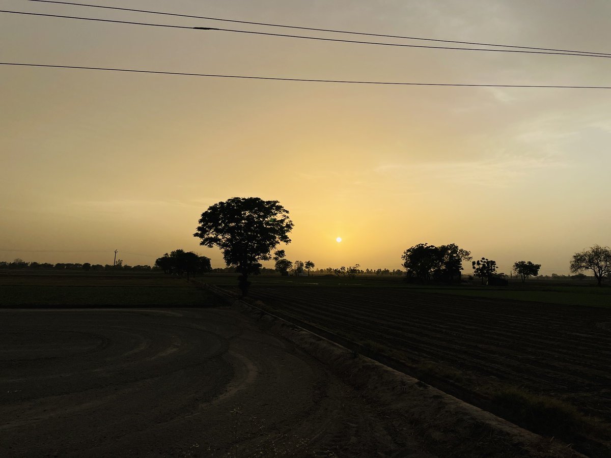 Sunset Snaps tweet media