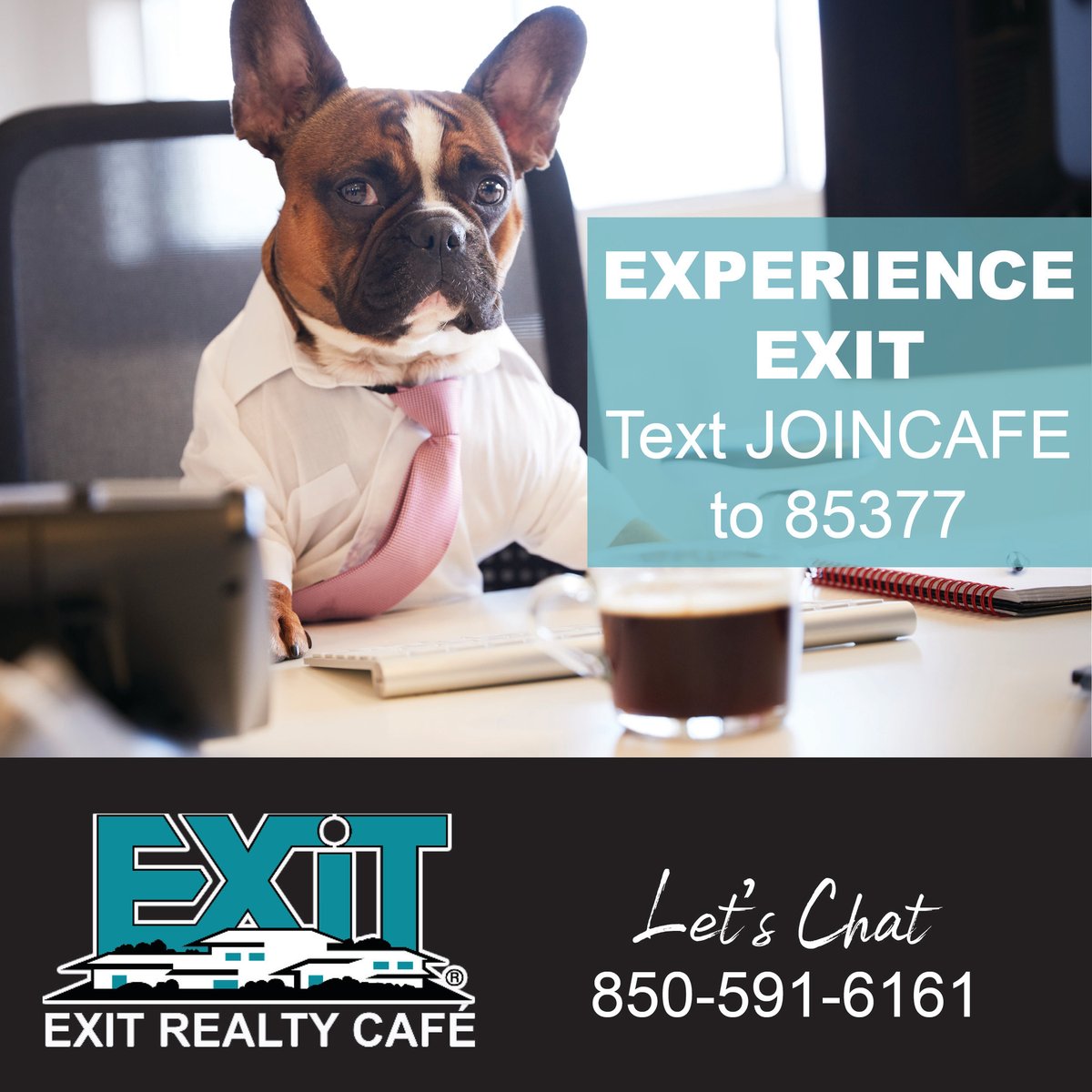Experience the EXIT difference - text JOINCAFE to 85377 to get started!

#EXITCAFE #JOINEXIT #realty #RealEstate #EXITRealty #excellence #change #growth #support #success #bestinclass #advertising #marketing #differentiator #passiveincome #financialfreedom #realestatecareers