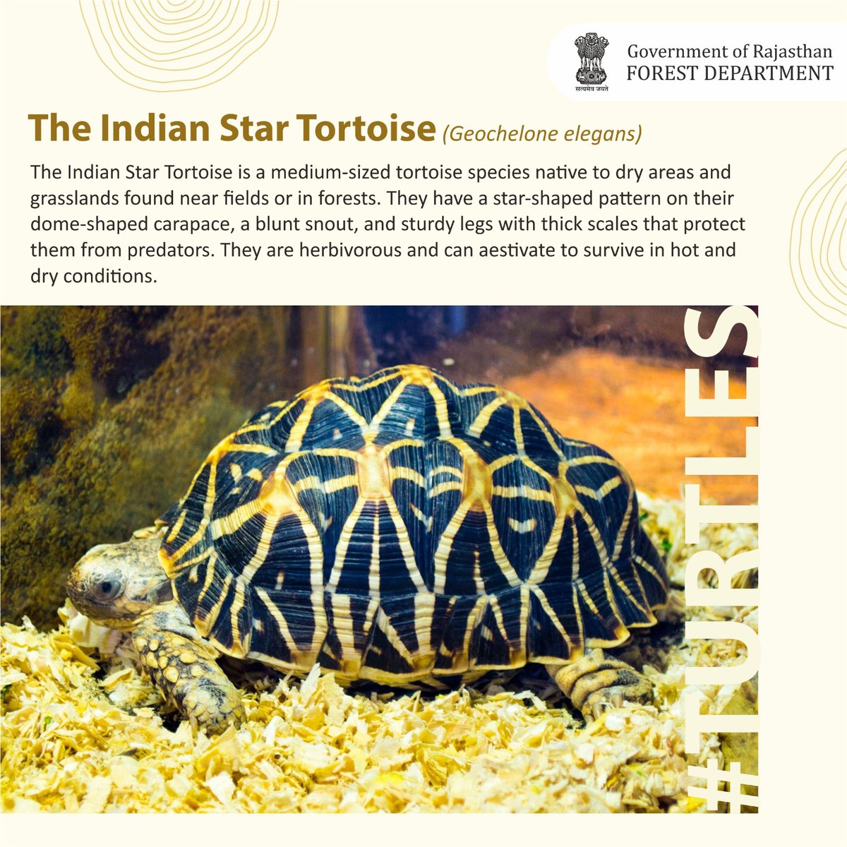 Rajasthan Forest Department tweet media