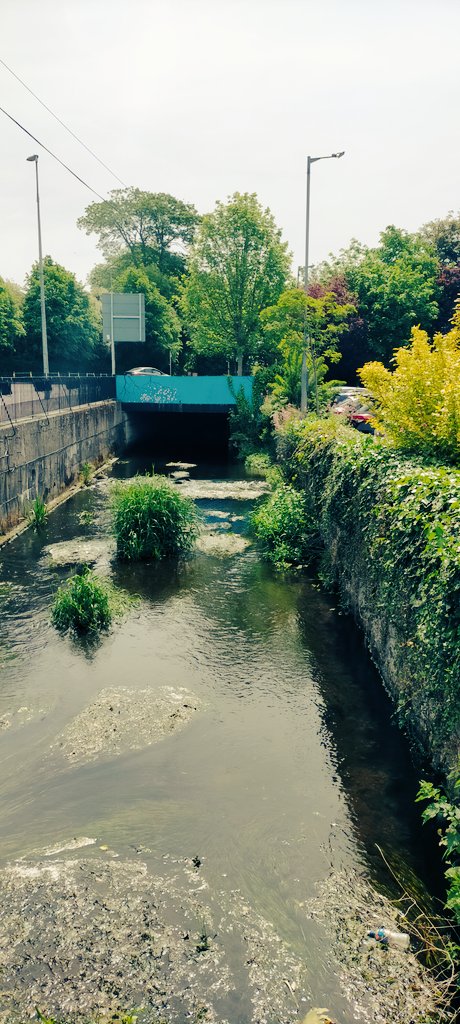 newbee75's tweet photo. Mindful walking by the Triogue River today @hsesteps @MLMCommHealth @HealthPromoOLOL #HSEStepsChallenge #MLMSteppers "Triogue Troops" hitting 605,627 steps Week 2 🏆 https://t.co/V1Zfri6toD