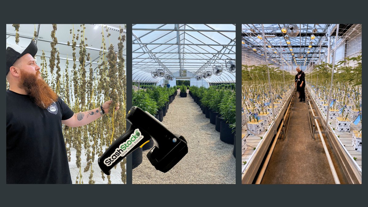 Stashstock's tweet image. When you first started growing, were you indoor or outdoor? Or both? 🌱 Let us know in the comments! 

P.S. Our CannaScanner is a great addition to both indoor &amp;amp; outdoor operations! 👀

#StashStock #RFIDSolutions #RFIDSystems #Cannabis #Cannabiz #cultivation #CannabisIndustry