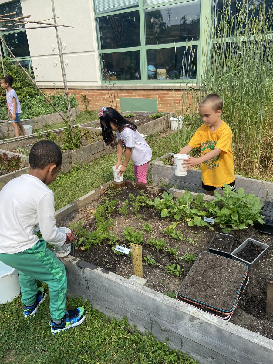 #RT <a href="/CampbellAPS/">Maureen Nesselrode</a>: A beautiful week weather wise for outdoor learning