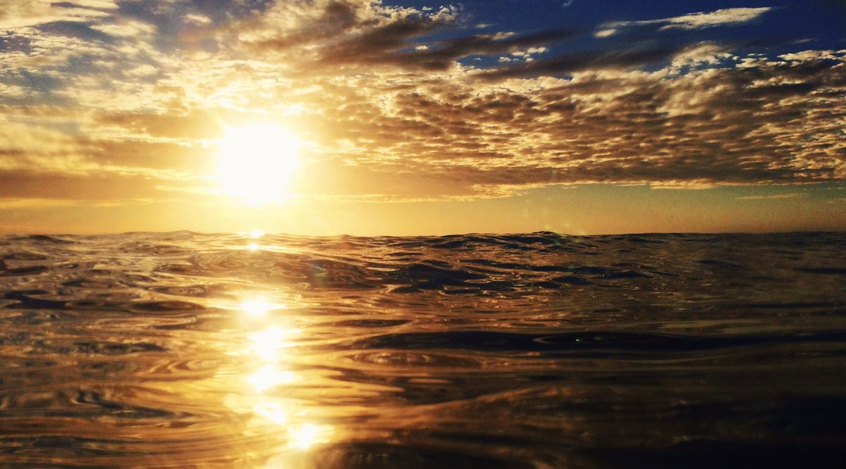 A little golden hour action #MomentChallenge <a href="/moment/">Moment</a>