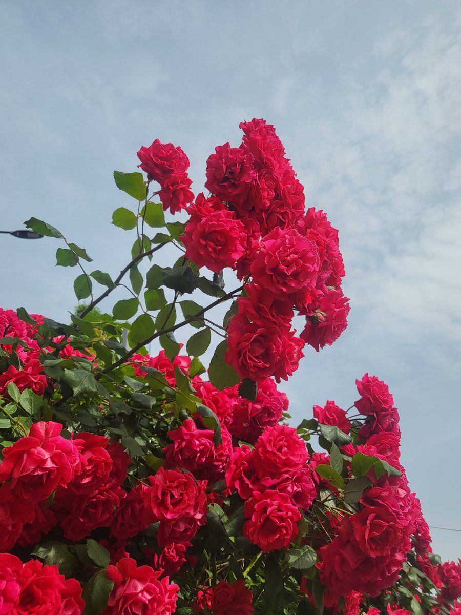 순무 (@soooon_mu) on Twitter photo 