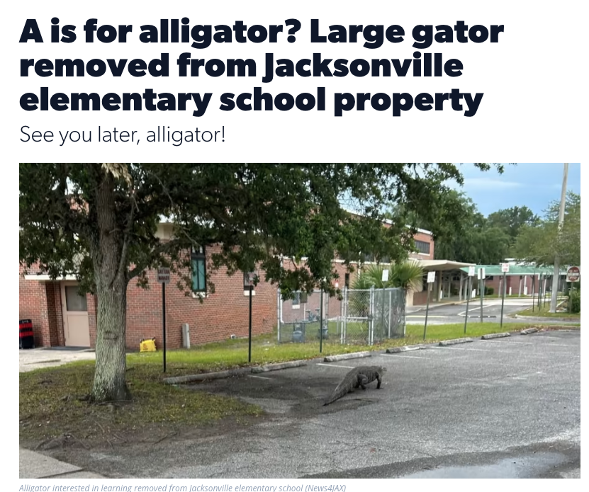 he was trying to get an education???!?!