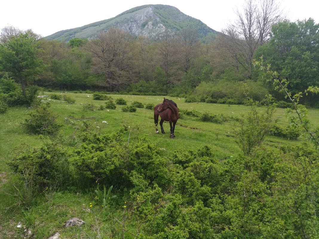 <a href="/ETC_UMA/">ETC-UMA</a> is looking for a new colleague to join the team with expertise in #naturebasedsolutions for #Climate #adaptation. Deadline: June 19, 2023. For more: etc.uma.es/senior-special…