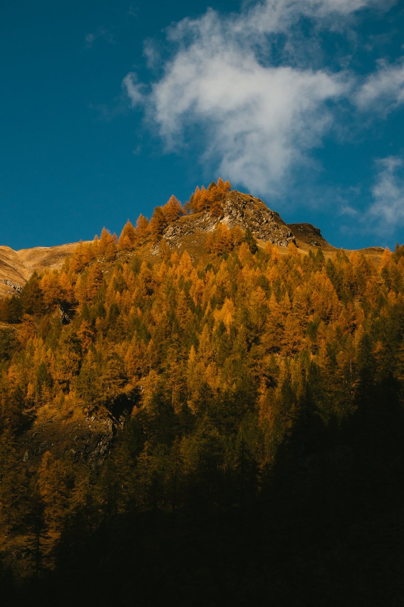 Fall is that moment during the year full of photos opportunities