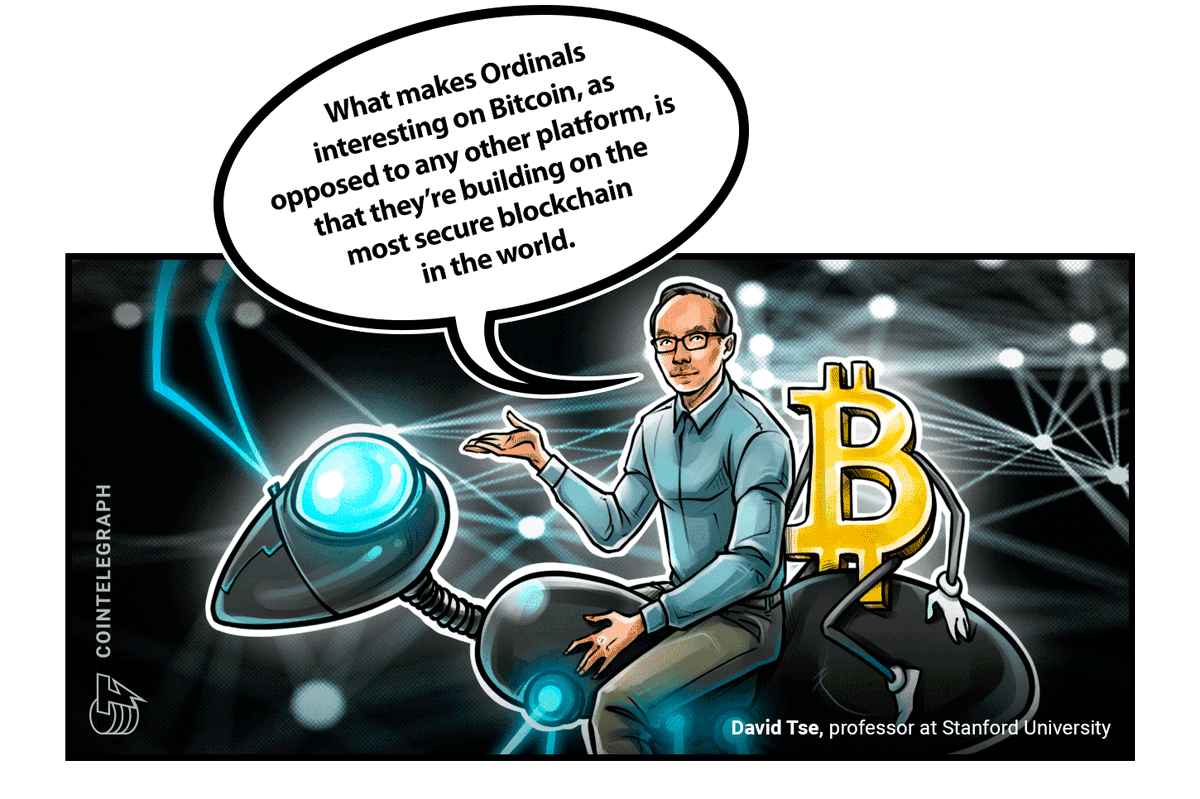 Capitan Albino tweet media
