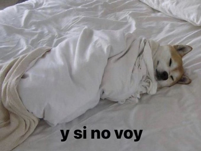 *cae una gota d lluvia*
yo: