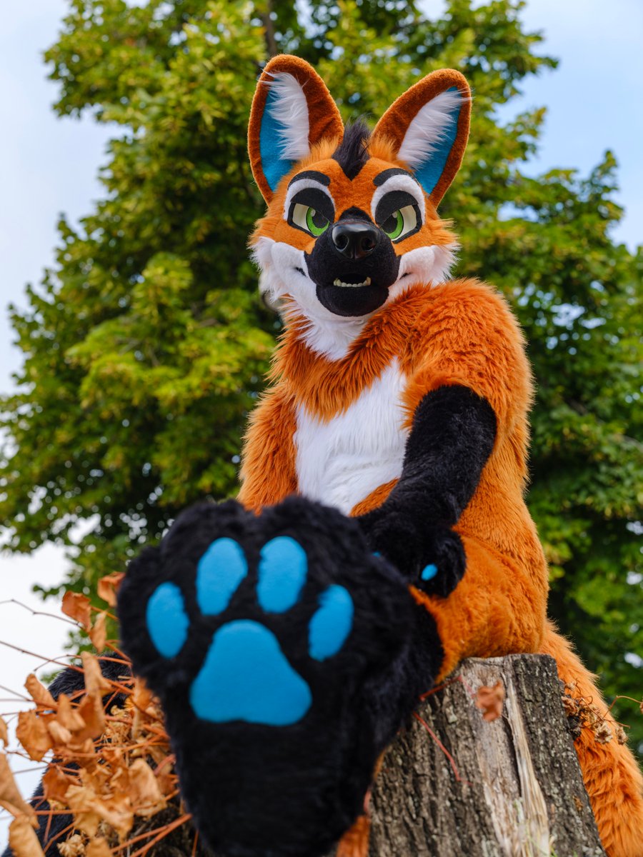 You like blue pawpads dont you😏

📸 <a href="/CaptainChaotika/">🌻 混沌的隊長 ➡️ AFC</a>
✂️ <a href="/AlphaDogsStudio/">Alpha Dogs</a> 
📌#EF2022