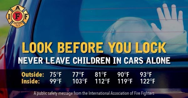LoneJackFire tweet media