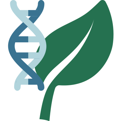 Pigmented rice 🌾 is nutrient-rich but typically suffers from limited productivity. @KAUST_News researchers showed the potential of #CRISPR #GenomeEditing for agronomic improvement by developing an early-maturing, shorter variety of pigmented rice: ow.ly/UMy250Oq2Hu