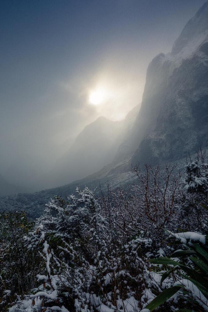 walkwithmeworld's tweet image. Fiordland, New Zealand. {OC} (1500 x 1000) via ift.tt/LH34YPM