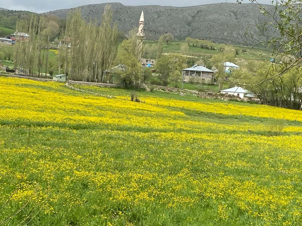 kayseritarimorm's tweet image. Teknik ekiplerimizce 4342 sayılı #MeraKanunu kapsamında #tespit #tahdit #tahsis çalışmalarımız devam etmektedir.
@VahitKirisci @gokmen_cicek_ @MstafaSahin44 @TCTarim @kayserivaliligi