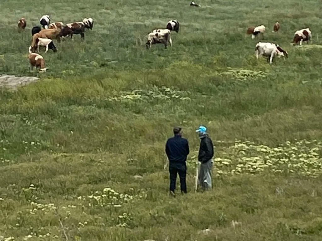 kayseritarimorm's tweet image. Teknik ekiplerimizce 4342 sayılı #MeraKanunu kapsamında #tespit #tahdit #tahsis çalışmalarımız devam etmektedir.
@VahitKirisci @gokmen_cicek_ @MstafaSahin44 @TCTarim @kayserivaliligi