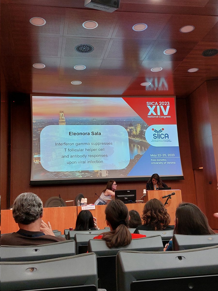 Great talks in Verona from @iannaconelab and KukaTeam @MirelaKuka Valentina explained the role of HBV-specific CD4 T cells in sustaining CD8 T cell priming in the liver. Eleonora @EleonoraSala12 revealed a new function for IFNg in the context of LCMV infection. #siica #Verona