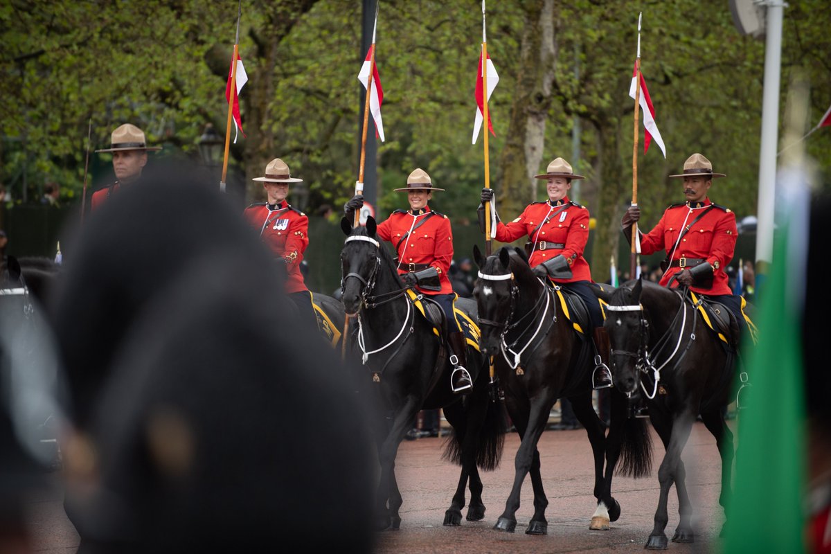 CanadianUK tweet media