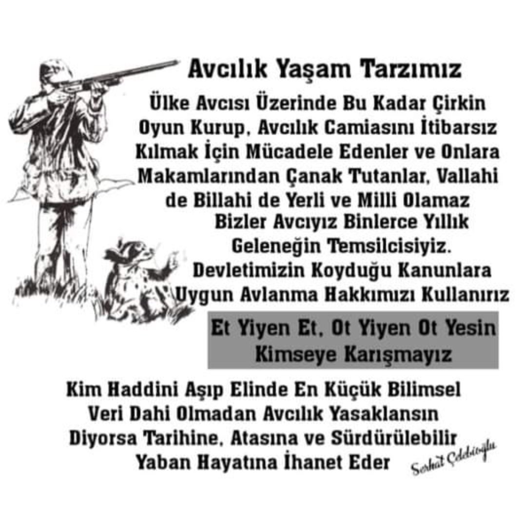 𝕾𝖊𝖗𝖍𝖆𝖙 Ç𝖊𝖑𝖊𝖇𝖎𝖔ğ𝖑𝖚 (@sceleboglu) on Twitter photo 