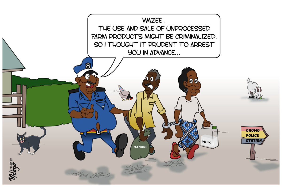 BwanaMdogo1's tweet photo. That law has always been in the pipeline (+criminalization of the selling of "unpasteurized" milk).
Cartoon for @theelephantinfo, April 2022
#RouteToFood https://t.co/M6BpcqmtSX
