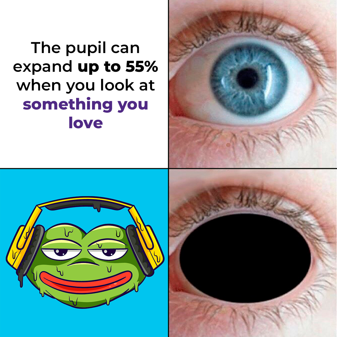 Pepe Drip tweet media