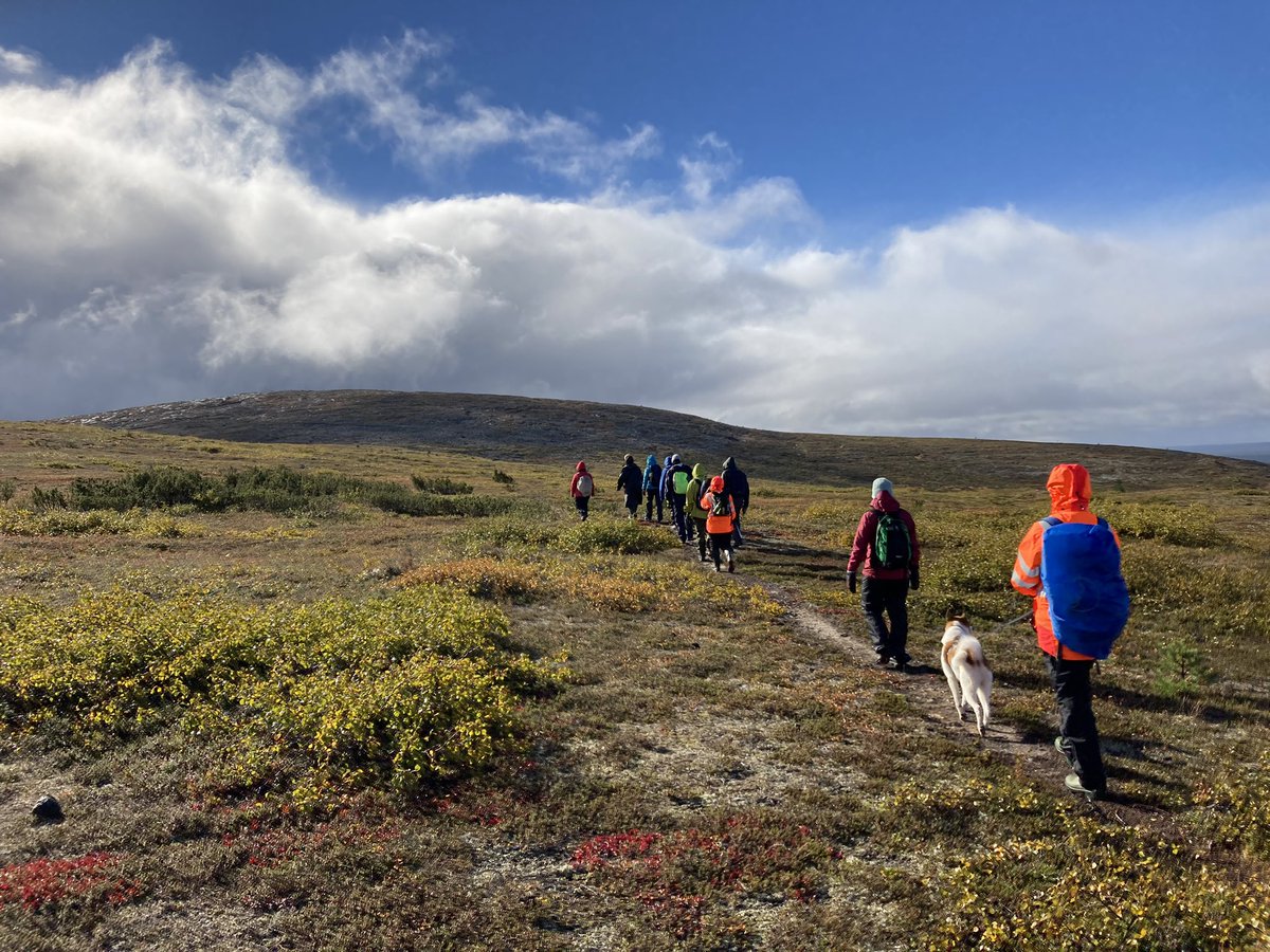 Elisa Pääkkö tweet media