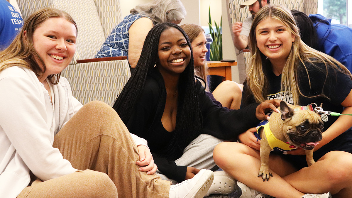 UDLibrary's tweet photo. We hope these dog-gone adorable photos of therapy dogs in Morris Library paws-itively brighten your day, just like the pups did for our Blue Hens last night. 🐾 https://t.co/iDQTsBwQw3