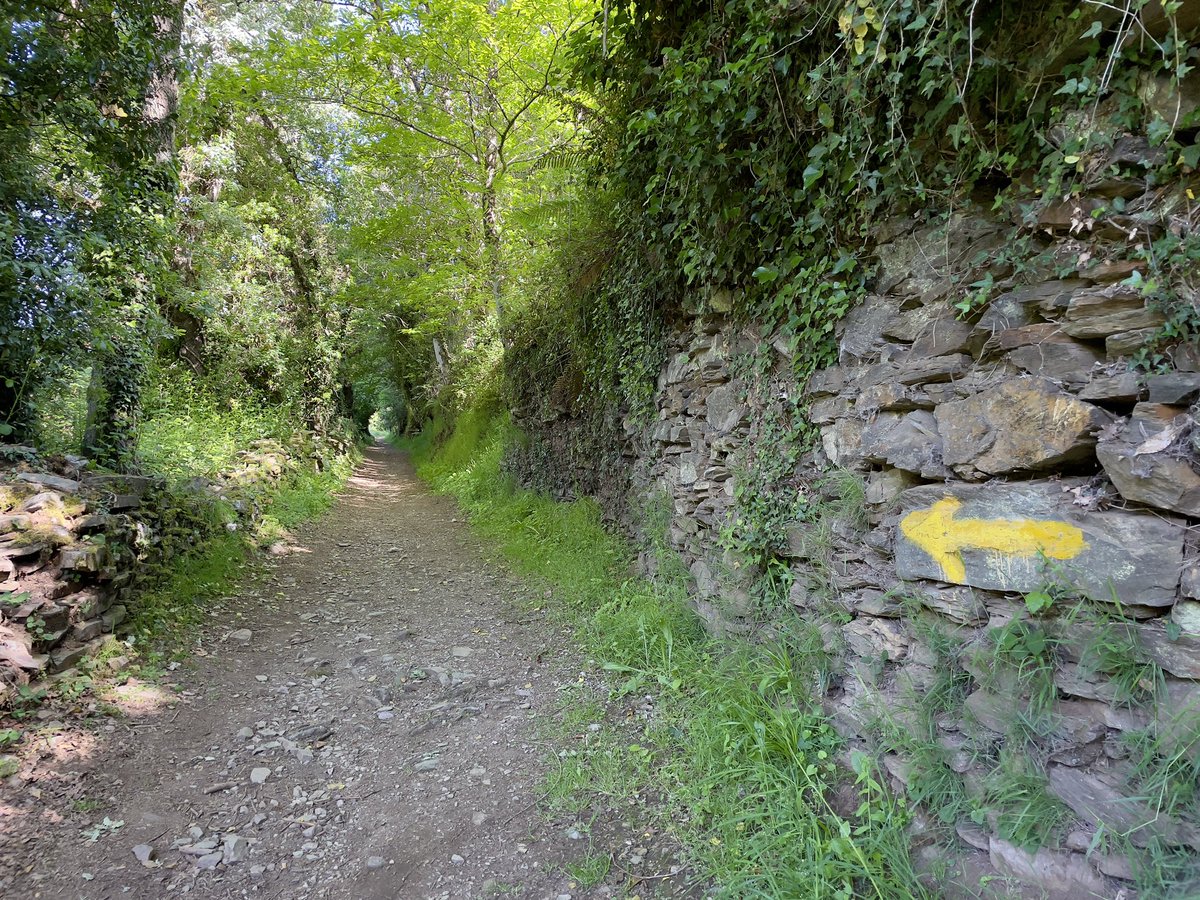 FlaglerFilms's tweet photo. Walking the Camino - Day 32
Triacastela to Sarria (through Samos)
29km / 18 miles
.
#caminofrances #camino2023 #day32 #caminodesantiago #caminosantiago #camino_xacobeo #galicia #walks #walkingvideo #visitspain #spain #sarria #samos #monastery #beautifulday @camino_xacobeo https://t.co/nNYhTs73O8