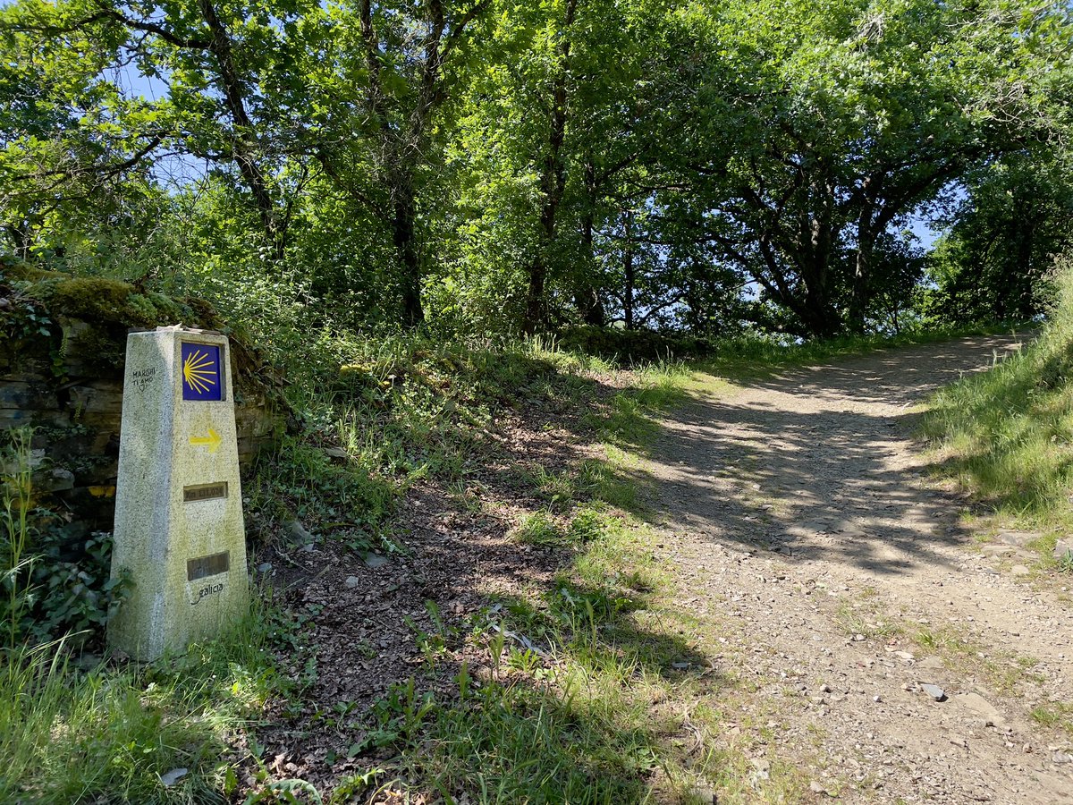 FlaglerFilms's tweet photo. Walking the Camino - Day 32
Triacastela to Sarria (through Samos)
29km / 18 miles
.
#caminofrances #camino2023 #day32 #caminodesantiago #caminosantiago #camino_xacobeo #galicia #walks #walkingvideo #visitspain #spain #sarria #samos #monastery #beautifulday @camino_xacobeo https://t.co/nNYhTs73O8